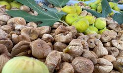Sezonun ilk kuru inciri 1000 liradan alındı! Nazilli’de tören düzenlendi
