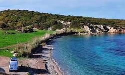Ne Çeşme ne Foça! 600 metrelik toprak yolun sonunda cam gibi deniz: Giriş ücretsiz, deniz akvaryum gibi