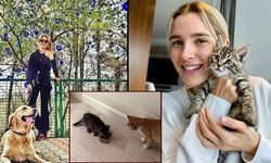 Pınar Sabancı'nın kedisi Dante şaşırttı: Tuvaletini bakın nereye yaptı!