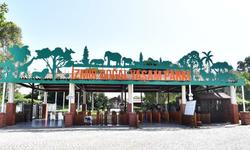 İzmir Doğal Yaşam Parkı’nda yeni dönem! Ziyaret saatleri değişiyor