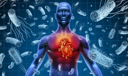 Enfeksiyon sırasında bu değişikliklere dikkat! Sepsis habercisi olabilir