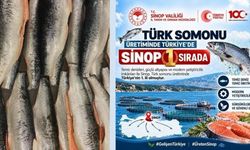 Türkiye’nin somon üssü belli oldu: Üretimde ilk sırada