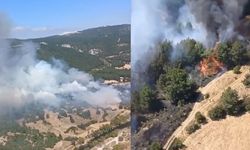 Son Dakika: Alevler ormanlık alana sıçradı! Ekipler seferber oldu