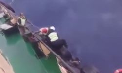 Son Dakika: Feribot alabora oldu, 30 kişi kayboldu!