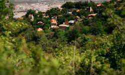 Bu yaz yüzemedim demeyin! Havalar serinledi ama bu su hala sıcak: İzmir’in termal haritasında saklı kalmış
