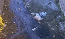 İzmir’de derelerde koku isyanı: Vatandaşları isyan ettiren görüntü!