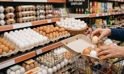 Bu yumurtayı yiyen yandı! Uzmanlar uyarıyor: Bu kodlu yumurta Salmonella riski taşıyor