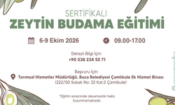 Buca Belediyesi duyurdu! Zeytin üreticilerine ücretsiz eğitim fırsatı