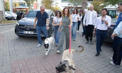 Karşıyaka’da anlamlı etkinlik!  8 can dost yeni yuvasına kavuştu