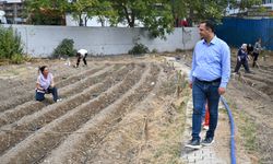 Bornovalılara müjde: Kent bostanlarının sayısı 9’a çıktı
