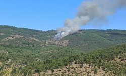 Bursa’da ormanda alevler yükseldi! Yangın kontrol altına alındı