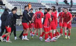 Denizli İdmanyurdu düşme hattına demir attı! Son 4 maçta 9 gol yedi
