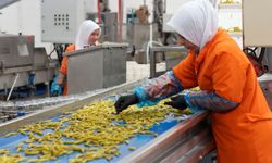 Ege’den dünyaya turşu ihracatı: Türk ürünleri 121 ülkede alıcı buldu