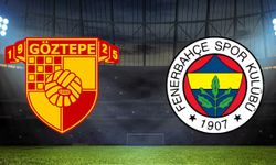 Fenerbahçe’de Dirk Kuyt kararını verdi! Göztepe maçında ilk 11 değişiyor