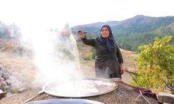 Geleneksel pekmez mesaisi: Kilosu 800 liradan satılıyor
