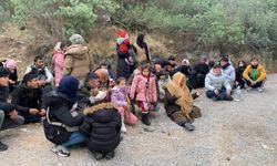 Seferihisar’da jandarmadan operasyon: 37 böçmen bulundu