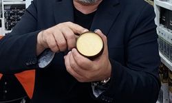 Hamsi bu kez sofraya değil cilde girdi: Bu kremi duyan şaşırıyor