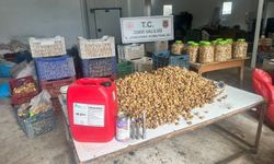 İzmir'de gıda skandalı! Kimyasallarla beyazlatılan 3 ton incir ele geçirildi