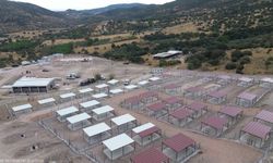 İzmir’den sokak hayvanları için büyük adım: Yeni kampüs 2027’de açılacak