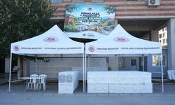 Kemalpaşa Belediyesi’nden zeytin üreticilerine hasat desteği: Yeni yardımlar da yolda