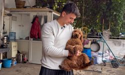 Köpeğiyle yürüyüşü eleştiri konusu oldu: Sahibi konu hakkında açıklamada bulundu