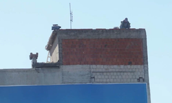 Metrelerce yükseklikte ölümüne çalışma! İzmir’de iş güvenliği ihlali kamerada