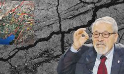 17 dakika arayla ikideprem! Adana'da panik yaratan sarsıntıların ardından Naci Görür'den dikkat çeken uyarı