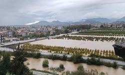 Sağanak hayatı olumsuz etkiledi! Çay taştı, yollar göle döndü