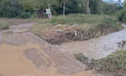 Sele kapılan araçta aranan kayıp kişiden acı haber
