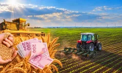 Tarım ve gıda yatırımlarına 10 milyon dolara kadar finansman desteği