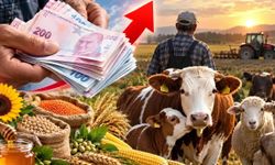 Tarım ve hayvancılıkta yeni destek planı! Bütçe 235 milyar liraya yükseliyor: Kimler yararlanabilecek?