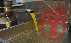 TARİŞ'te 57 milyon liralık avans soruşturması tamamlandı: Yöneticilere iddianame