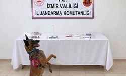 Torbalı’da jandarmadan uyuşturucu operasyonu: Bir şüpheli gözaltında