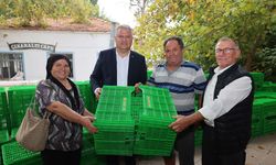 Urla Belediyesi'nden üreticilere destek: 10 bin zeytin fidanı daha dağıtacak