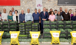 Urla’da 120 bini aşkın fide üreticiyle buluştu