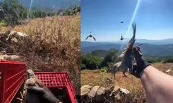 Yaban hayatı için yeni adım: Kınalı keklikler doğayla buluştu