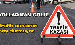 Yollar kan gölü! Trafik canavarı boş durmuyor