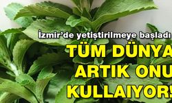 Tüm dünya artık o otu kullanıyor!