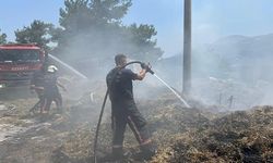 Çiftlik yangını ormana sıçramadan söndürüldü