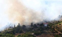 Kahramanmaraş'ta orman yangını çıktı