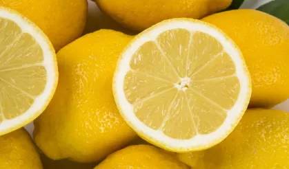 Haziran ayının zam şampiyonu limon oldu! Fiyatı yüzde 56 arttı