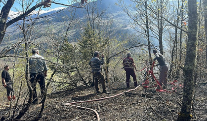 Artvin'de orman yangını: 2 hektar alan zarar gördü