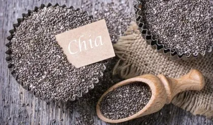 Küçük tohumun büyük etkisi: Neden bu kadar popüler? Chia tohumu gerçekten zayıflatıyor mu?