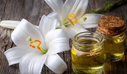 Zambak yağı nedir, ne işe yarar? Faydaları ve kullanım alanları