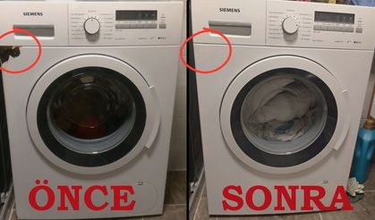 Beyaz eşyanızı koruyun! Çamaşır makineniz pas tutmasın: Evde uygulanan bu kolay ve doğal yöntemle ilk günkü gibi kalsın