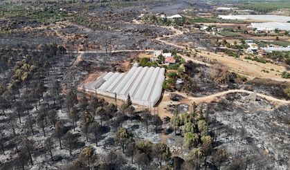 15 dakika önce her yer yemyeşildi! Alevler dakikalar içinde evlerin kapısına dayandı