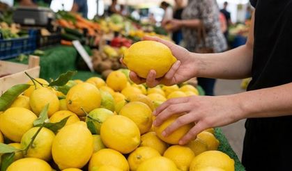 Pazardan limon seçerken bu detayı atlama! Sadece rengine değil kabuğuna da bakın: Taze ve sulu olan böyle anlaşılıyormuş
