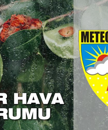 İzmir hava durumu: Sıcaklıklar daha da düşecek | Meteoroloji 10-14 Kasım hava tahminini paylaştı