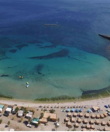 İzmir'de kamp yeri arayanlar buraya akın ediyor! Serin suyu ve zeytin ağaçlarıyla çevrili plaj, gelenlere huzur veriyor