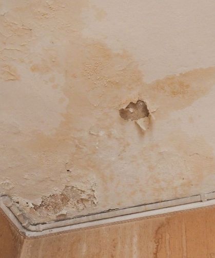Evde rutubet oluşuyorsa bu hataları yapıyor olabilirsiniz! Küf ve kötü kokuyu önlemenin yolları basit: İşte doğal çözüm